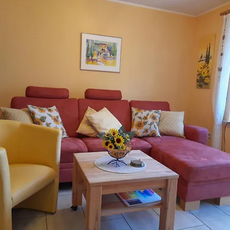 Sonnenblume Mit Sauna