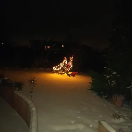 Sonnenblume Mit Sauna Apartment Daun