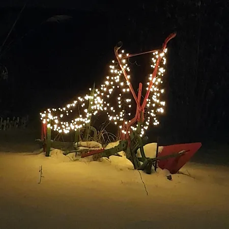 Sonnenblume Mit Sauna Daun