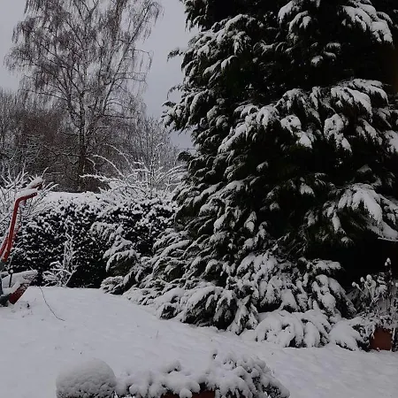 Sonnenblume Mit Sauna *