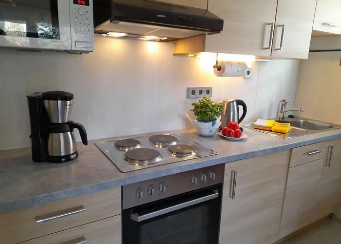 Sonnenblume Mit Sauna