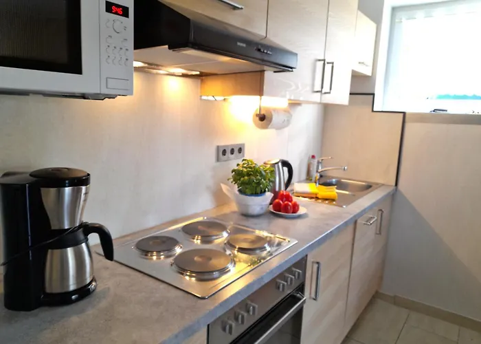 Sonnenblume Mit Sauna