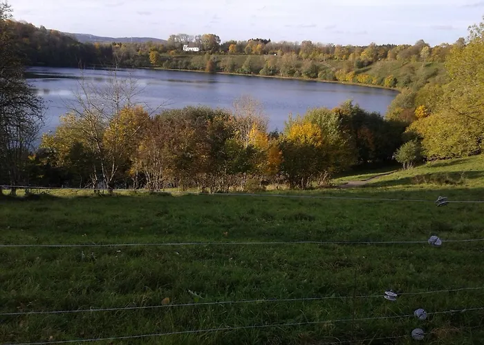 Sonnenblume Mit Sauna Appartement