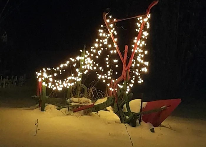 Sonnenblume Mit Sauna Daun