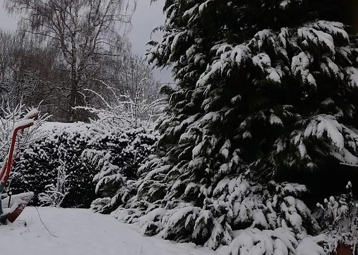 Sonnenblume Mit Sauna *